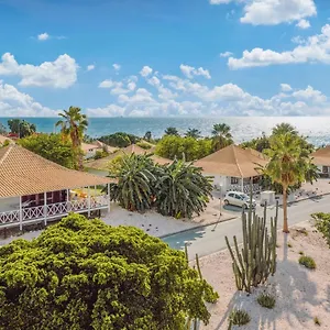 Papagayo (adults Only) **** Willemstad