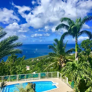 Rose Caraibes Pointe-Noire